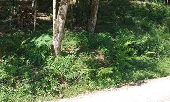 Imagem 3: Chácara localizado(a) no bairro Zona Rural em Nova Hartz / Rio Grande do Sul Ref.:1643