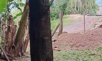 Imagem 4: Chácara localizado(a) no bairro Zona Rural em Nova Hartz / Rio Grande do Sul Ref.:1643