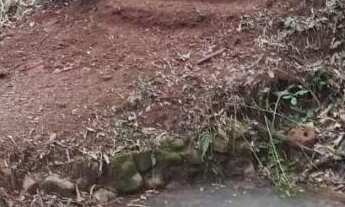 Imagem 6: Chácara localizado(a) no bairro Zona Rural em Nova Hartz / Rio Grande do Sul Ref.:1643