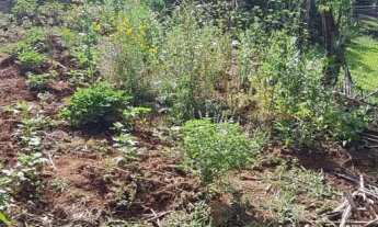 Imagem 5: Chácara à venda em Sapiranga, no bairro Centenário