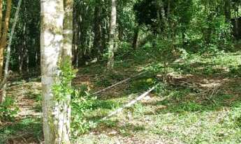 Imagem 6: Chácara à venda em Sapiranga, no bairro Centenário
