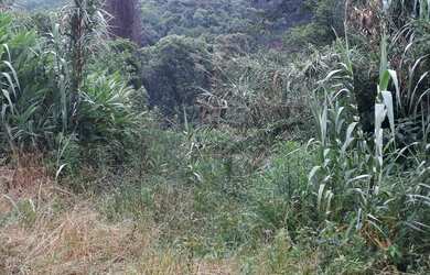 Imagem 2: Chácara com 2 Dormitorio(s) localizado(a) no bairro Bela Hu em Sapiranga / RIO GRANDE DO