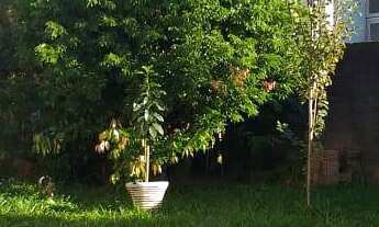 Imagem 7: Casa com 3 Dormitorio(s) localizado(a) no bairro São Jacó em Sapiranga / Rio Grande do Su