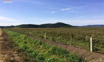 Imagem 3: Fazenda com 2 Dormitorio(s) localizado(a) no bairro em Morrinhos do Sul / Rio Grande do