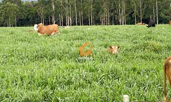 Imagem 2: Fazenda com 3 Dormitorio(s) localizado(a) no bairro em Osório / RIO GRANDE DO SUL Ref.:7