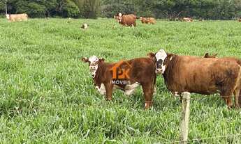 Imagem 4: Fazenda com 3 Dormitorio(s) localizado(a) no bairro em Osório / RIO GRANDE DO SUL Ref.:7