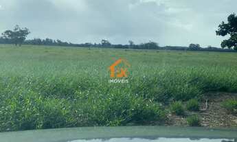 Imagem 5: Fazenda com 3 Dormitorio(s) localizado(a) no bairro em Osório / RIO GRANDE DO SUL Ref.:7