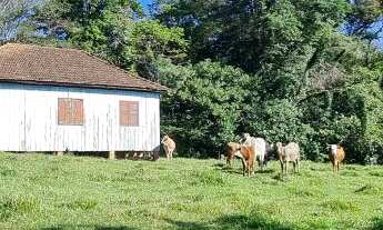 Imagem: Chácara com 3 Dormitorio(s) localizado(a)
