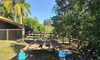 Imagem 3: Chácara com 3 Dormitorio(s) localizado(a) no bairro em Rolante / Rio Grande do Sul Ref.