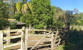 Imagem 4: Chácara com 3 Dormitorio(s) localizado(a) no bairro em Rolante / Rio Grande do Sul Ref.
