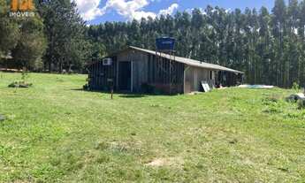 Imagem: Chácara com 2 Dormitorio(s) localizado(a)