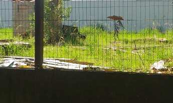 Imagem 2: Terreno com 3 Dormitorio(s) localizado(a) no bairro Centro em Sapiranga / Rio Grande do S