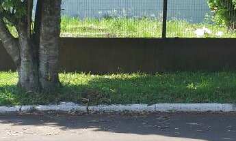 Imagem 5: Terreno com 3 Dormitorio(s) localizado(a) no bairro Centro em Sapiranga / Rio Grande do S