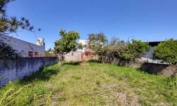 Imagem 5: Excelente terreno