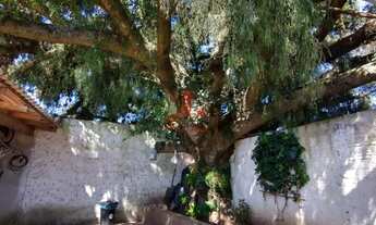 Imagem 3: Excelente Imóvel