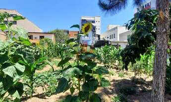 Imagem 4: Terreno , 385M² de Área Total