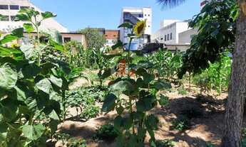 Imagem 5: Terreno , 385M² de Área Total