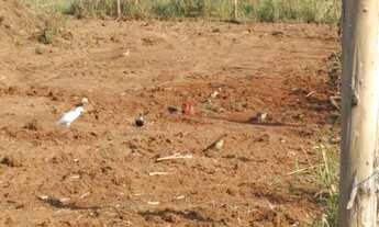 Imagem 7: Investimento em Novo Hamburgo