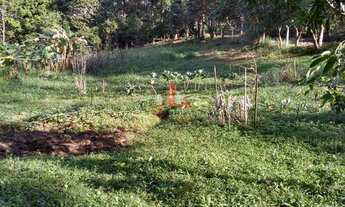 Imagem 2: Chácara com 2 Dormitorio(s) localizado(a) no bairro Rural em Portão / Rio Grande do Sul R