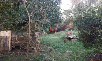 Imagem: Investimento em Esteio