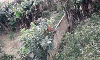 Imagem 3: Pavilhão com 1 Dormitorio(s) localizado(a) no bairro Nova Sapucaia em Sapucaia do Sul / R