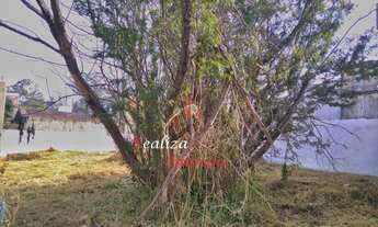 Imagem 2: Investimento em Esteio