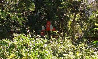 Imagem 3: Excelente terreno