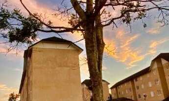 Imagem: Apartamento bairro sete de Setembro Sapiranga