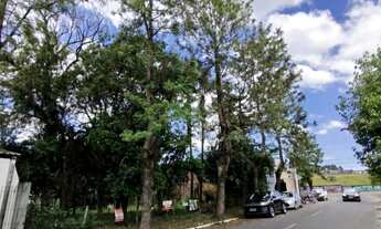 Imagem 2: EXCELENTE TERRENO / CENTRO