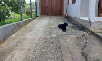 Imagem 6: Casa com 3 Dormitorio(s) localizado(a) no bairro Amaral Ribeiro em Sapiranga / Rio Grande