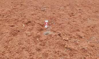 Imagem 4: Terreno com 2 Dormitorio(s) localizado(a) no bairro Sete de Setembro em Sapiranga / Rio G