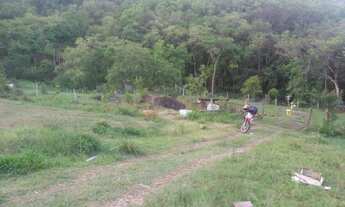 Imagem 6: Chácara / Sítio com 2 Dormitorio(s) localizado(a) no bairro em Nova Hartz / RIO GRANDE D