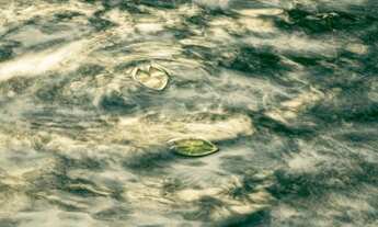 Imagem 4: Plaenge Terrace Parque das Águas, Lançamento, 116m² a 136m², 3 suítes, valores sob consult