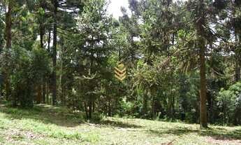 Imagem: Área de 1,3 Hectares em Cambará do Sul