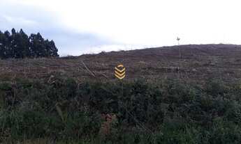 Imagem 2: Área rural em Gramado