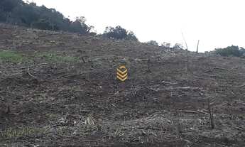 Imagem 5: Área rural em Gramado