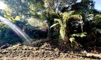 Imagem 4: TERRENO EM ACLIVE NO ALPES VERDES