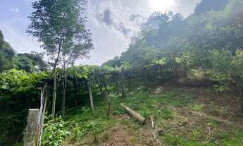 Imagem 4: AREA DE 6 HECTARES EM GRAMADO