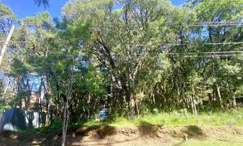 Imagem: TERRENO EM CONDOMINIO FECHADO EM CANELA
