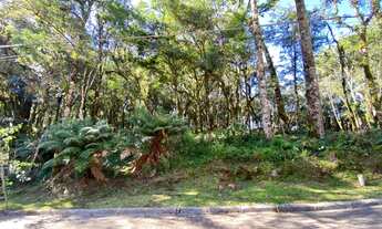 Imagem: TERRENO EM CONDOMINIO FECHADO EM CANELA