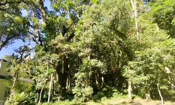 Imagem: TERRENO PLANO EM CONDOMINIO FECHADO EM CANELA