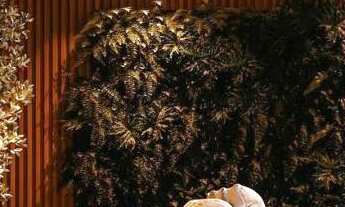 Imagem 7: Apartamento à venda no Centro de Canela - Lançamento