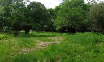 Imagem: TERRENO NO CONDOMINIO LAJE DE PEDRA EM CANELA