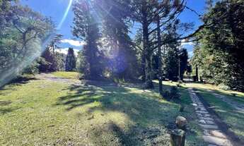 Imagem: ÁREA NOBRE NO CENTRO DE CANELA