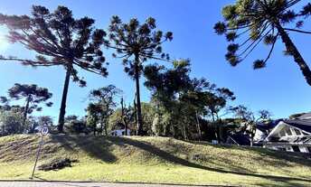 Imagem: TERRENO NO CONSOLIDADO CONDOMINIO ALTOS