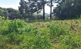 Imagem 4: Área de 8,8 hectares em Gramado - Serra Grande