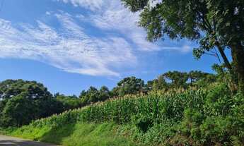 Imagem 5: Área de 8,8 hectares em Gramado - Serra Grande