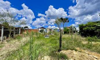 Imagem: Terreno para venda em Canela, São Luís
