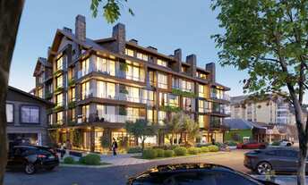 Imagem: ARAUCÁ PARA VIVER E CRIAR RAÍZES EM CANELA