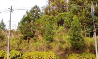 Imagem 5: Terreno Comercial de 1 hectare na Avenida das Hortênsias!